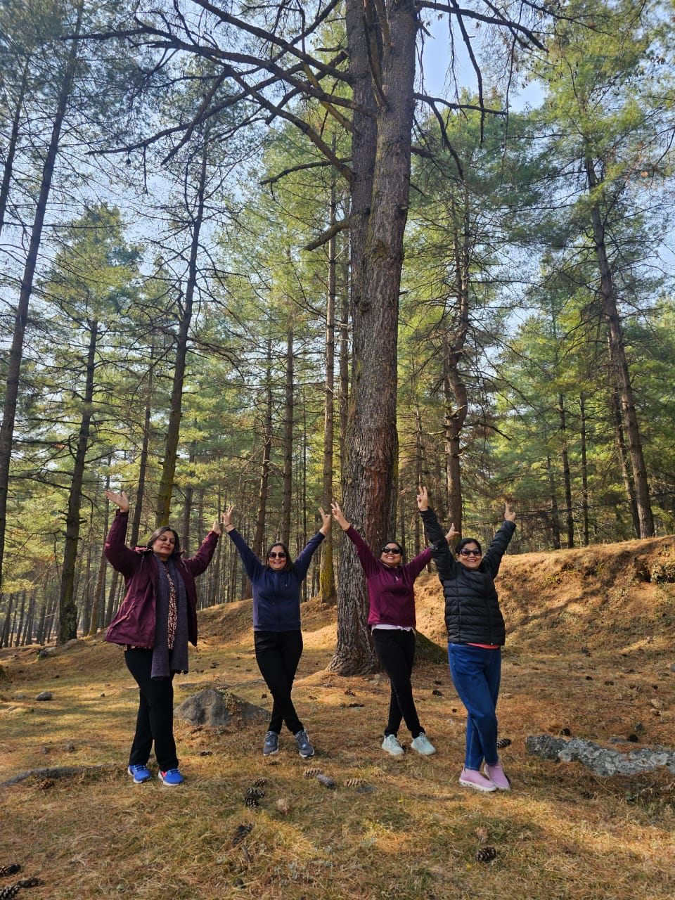 hyderabadladiestravelclub.133